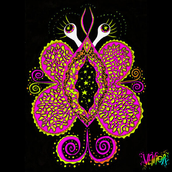 Vulva Voladora Album Cover WEB